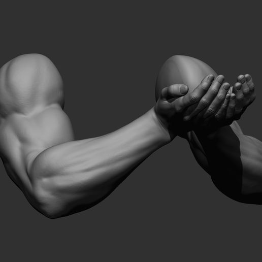 ♂️ 17 male arm poses・ 3D File for ・Cults