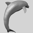 27_TDA0613_Dolphin_03A05.png Dolphin 03