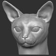 13.jpg Abyssinian cat head for 3D printing