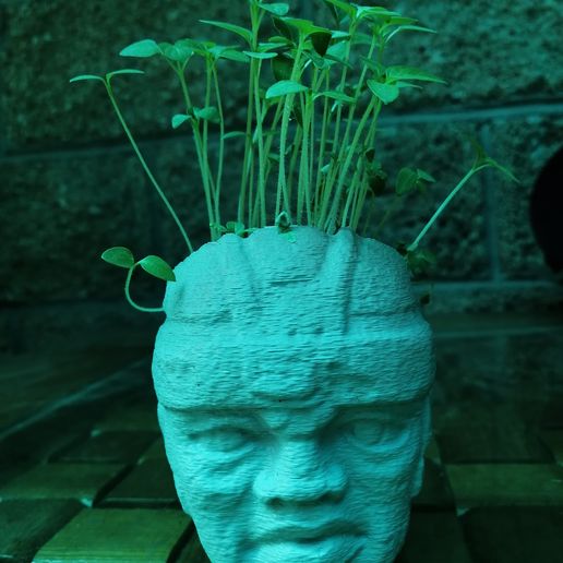 IMG_20200907_114059.jpg Jardinière Pot Olmec