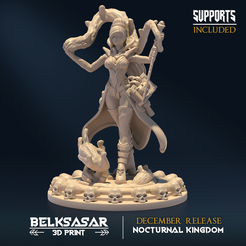 01.png STL file Nocturnal Bloodmage A・3D printable model to download