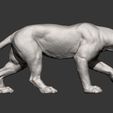panther10.jpg panther 3D print model