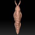 5.jpg Rotten Slug - Dark Souls 3