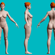 01.png Female Anatomy Figurine