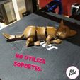 FLEXI-DOG-6.jpg Archivo STL ARTICULATED WOLF AND DOG・Diseño de impresión en 3D para descargar
