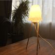 e426af6d145386b4ecf5ddf5891e6e0d_preview_featured.JPG Dowel Lamp with low poly shade!