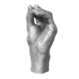 Mano-Presa-Pluridigital-4.png Pluridigital prey hand