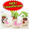 Pack-beautiful-pots.jpg cat dog and panda bear planters