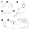 spino_classic-pic2.jpg [3Dino Puzzle] Espinossauro estilo clássico