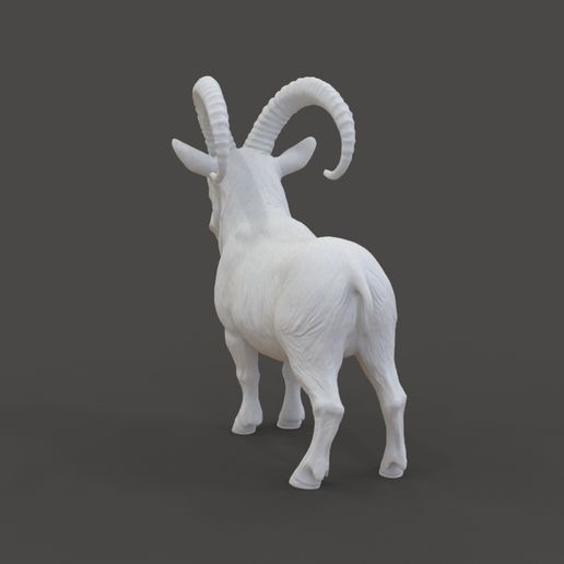 Ibex_1.4.jpg Фигурка горного козла