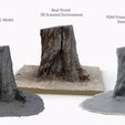 single_tree_stump_turntable_tree_fix_4.jpg STL-Datei 3D-gescannter Baumstumpf für Tabletop Scatter Terrain kostenlos・3D-Druckvorlage zum Herunterladen