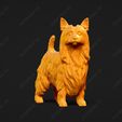 665-Australian_Terrier_Pose_03.jpg Australian Terrier Dog 3D Print Model Pose 03