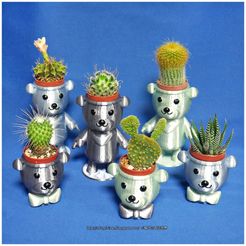 BEAR BRAVO Potted plants