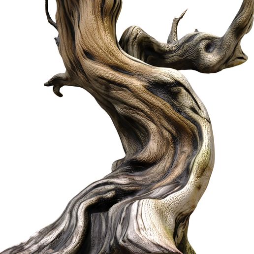 3ddd2.jpg Ornemental Rustique torsadé arbre sec branches noueuses modèle 3D