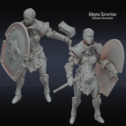bake_normal.png 3D file Adepta Sororitas: Celestian Sacresants・3D printing design to download