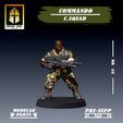 A3B.jpg Commando: Command Squad