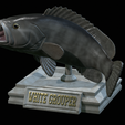 White-grouper-open-mouth-1-16.png fish white grouper / Epinephelus aeneus trophy statue detailed texture for 3d printing