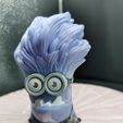 IMG_20230814_192545-10441.jpg purple minion