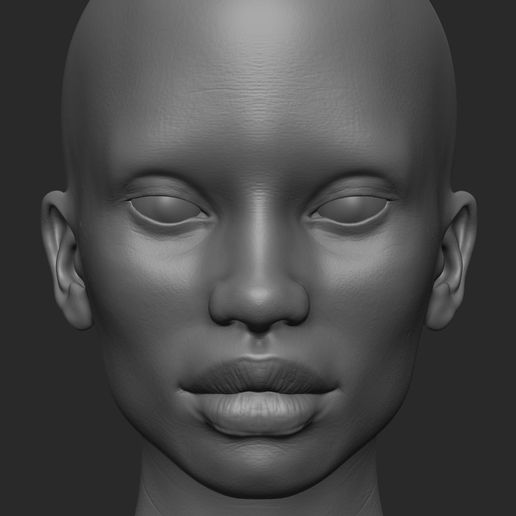 Shaneka_Texture_Sketch_18.jpg FEMALE HEAD REFENCE MODEL