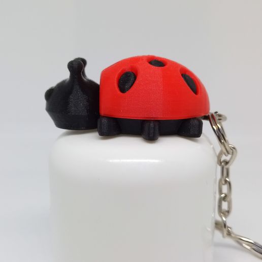 IMG_20200419_140128.jpg COCCINELLE