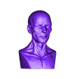 Anatormy_face_print.obj Stylized Anatomy Face 3D print model