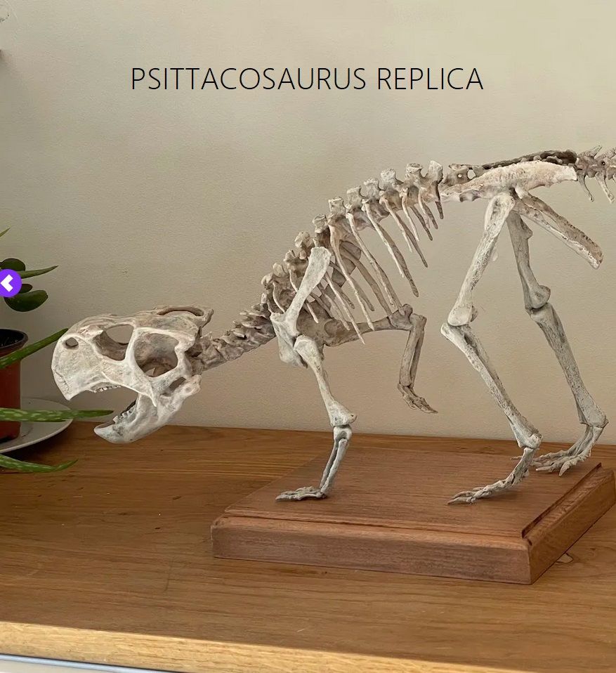 2022_04_06_12_24_08_Greenshot.jpg Download STL file Dinosaur skeleton - Psittacosaurus V3 • 3D print template, Think3dprint
