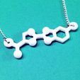 luciferin_display_large.jpg Luciferin Molecule Necklace