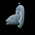 Dentex-head-trophy-38.png fish head trophy Common dentex / dentex dentex open mouth statue detailed texture for 3d printing