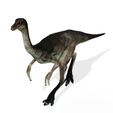 7000ko.jpg DOWNLOAD Dinogall 3D MODEL ANIMATED - BLENDER - 3DS MAX - CINEMA 4D - FBX - MAYA - UNITY - UNREAL - OBJ -  Animal & creature Fan Art People Dinogall Dinosaur Gallimimus Gallimimus Aquilamimus Archaeornithomimus