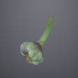 218a7ae8be3a3b189d2a4261324bea79.jpg Garlic , Garlic Lowpoly - Perfect for Game Assets & 3D Projects