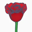 1000229942.webp Valentinstags Rose