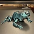 Crapaud grenouille articulé Flexi print-in-place sans support