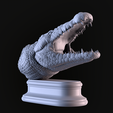 04.png Cabeça de crocodilo
