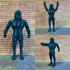 IMG_20220624_213641.jpg 3D file Hulk Hogan Basic Figure Replica (Popy Toys)・Design to download and 3D print