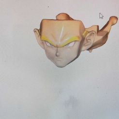 WhatsApp-Image-2023-08-14-at-15.19.21-2.jpeg STL file Sh Figuarts trunks faces・3D printing model to download