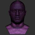 27.jpg Joe Rogan bust for 3D printing