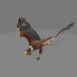 waea.png Eagle