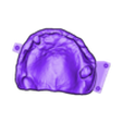 789513050_20250210_1316_Tech_01__-_oprava_A3,5_H_flex_UnsectionedModel_UpperJaw.stl DIGITAL FLEXIBLE UPPER PARTIAL DENTURE (3D models !!!) - 7 stl files for download)
