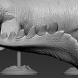 D5.jpg STL-Datei Mosasaurus・Modell zum Herunterladen und 3D-Drucken