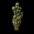 Cactus2.jpg Cactus Harry Potter 3d digital download 3D print model 3D print model