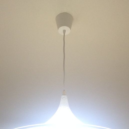 IMG_6304_display_large.JPG Ceiling lamp cup