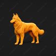 1729-Belgian_Shepherd_Dog_Tervueren_Pose_01.jpg Belgian Shepherd Dog Tervueren Dog 3D Print Model Pose 01