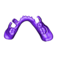 789513050_20241126_1405_Tech_01__A3_HaD_flex_2_Monoblock_Print.stl DIGITAL FLEXIBLE PARTIAL DENTURES upper + lower (3D models !!!) - 12 stl files for download
