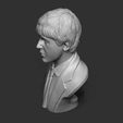 10.jpg Paul McCartney 3D print model