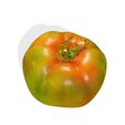 1.jpg TOMATO FRUIT VEGETABLE FOOD 3D MODEL - 3D PRINTING - OBJ - FBX - 3D PROJECT TOMATO FRUIT VEGETABLE FOOD TOMATO
