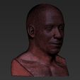 23.jpg Vin Diesel bust ready for full color 3D printing