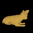 model-10.png DOG - YORKIE- DOG LAYING - CUTE DOG - PUPPY - PUPPIES - PUP - YORKSHIRE TERRIER