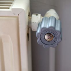 DSCF1483.JPG Valve knob for radiator