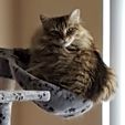 Tammy_pic1.jpg Cat Condo / activity scratching Pole repair kit. (For owners of fat cats)
