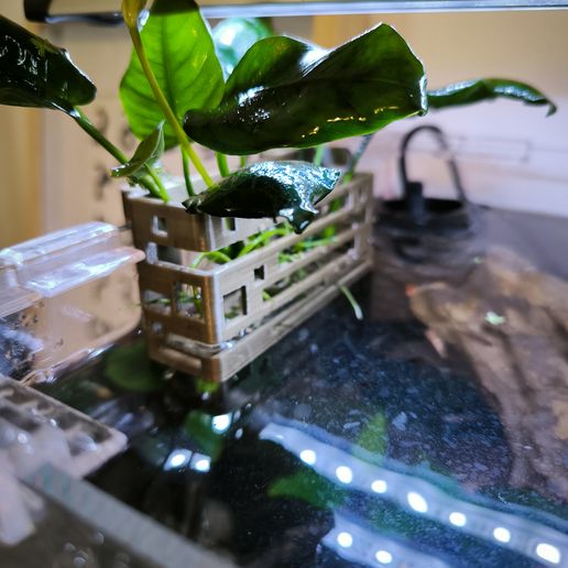 aquarium plant support set S/M/L STL File for 3D printingCults
